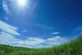 草原と太陽