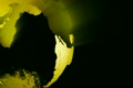 Yellow Earth Loop v1