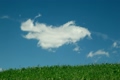 Clouds move on blue sky, bottom green meadow