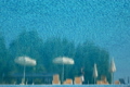 Swimming pool with water, its reflection of person picks up umbrellas