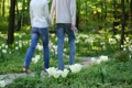couple walking in the green park amoung tulips