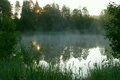 Fog over a pond
