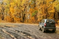 automobile car goes forward on wood road