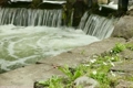 Clear stream calmly running by stones and beautiful daisies