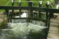 Clear stream calmly running by stones and good sluice made of wood 