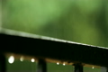 Rain on Railing FOCUS Pulls GFHD