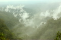 Misty cloudforest in the Ecuadorian Andes