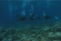 Divers
