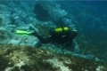 Diver