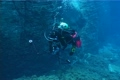 Diver