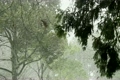 吹雪