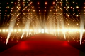 On The Red Carpet 13