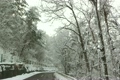 雪の道路