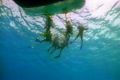 group of divers preparing to dive
