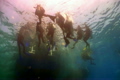 group of divers preparing to dive