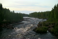 rough river flows through the forest