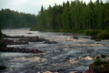 rough river flows through the forest