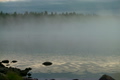 fog on a lake