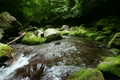 初夏の山の渓流