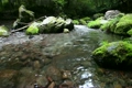 初夏の山の渓流