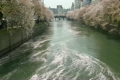 春の川(微速度撮影)