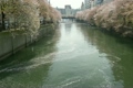 春の川(微速度撮影)
