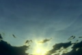 「Underwater Sunset」の映像素材 [2782064]