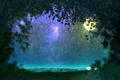 「Night forest loop」の映像素材 [3102343]